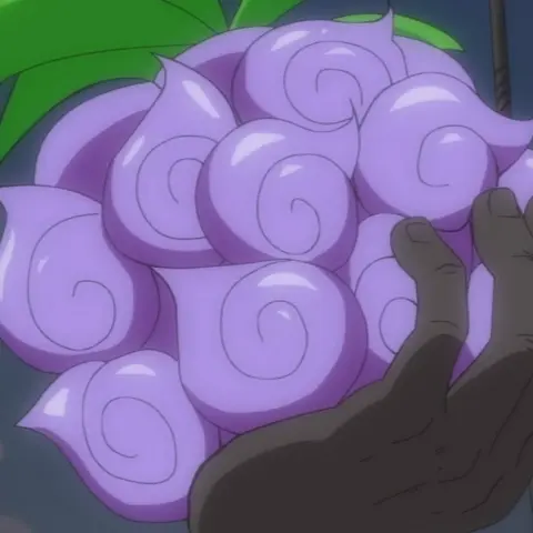 Yami Yami no Mi